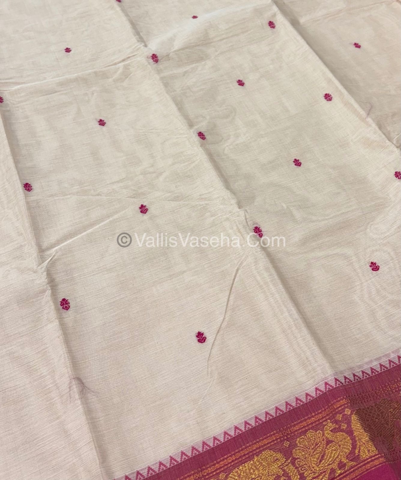 Kanchi Cotton Saree - VVKCS017