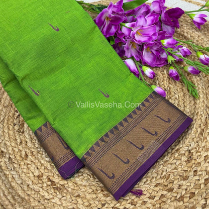 Kanchi Cotton Saree - VVKCS017