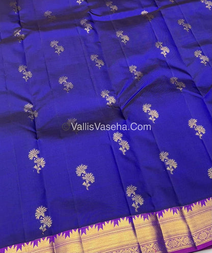 Pure Kanchipuram Silk Saree - Blue & Purplish Pink  Combo - VVPS013