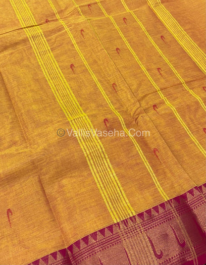 Kanchi Cotton Saree - VVKCS017