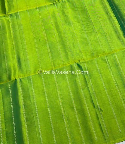Pure Soft Silk Saree | Borderless |  VVPSS038