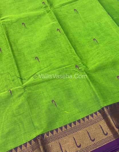 Kanchi Cotton Saree - VVKCS017