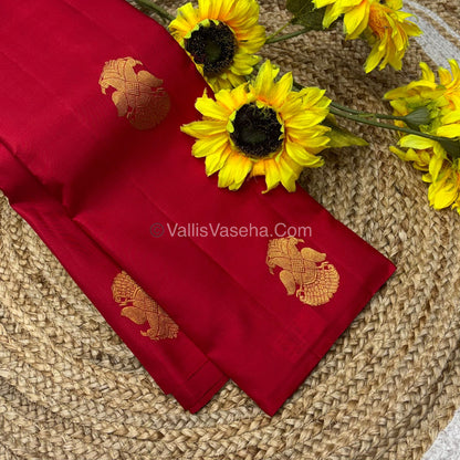 Pure Kanchipuram Silk Saree - Borderless - Red Shade - VVPS043