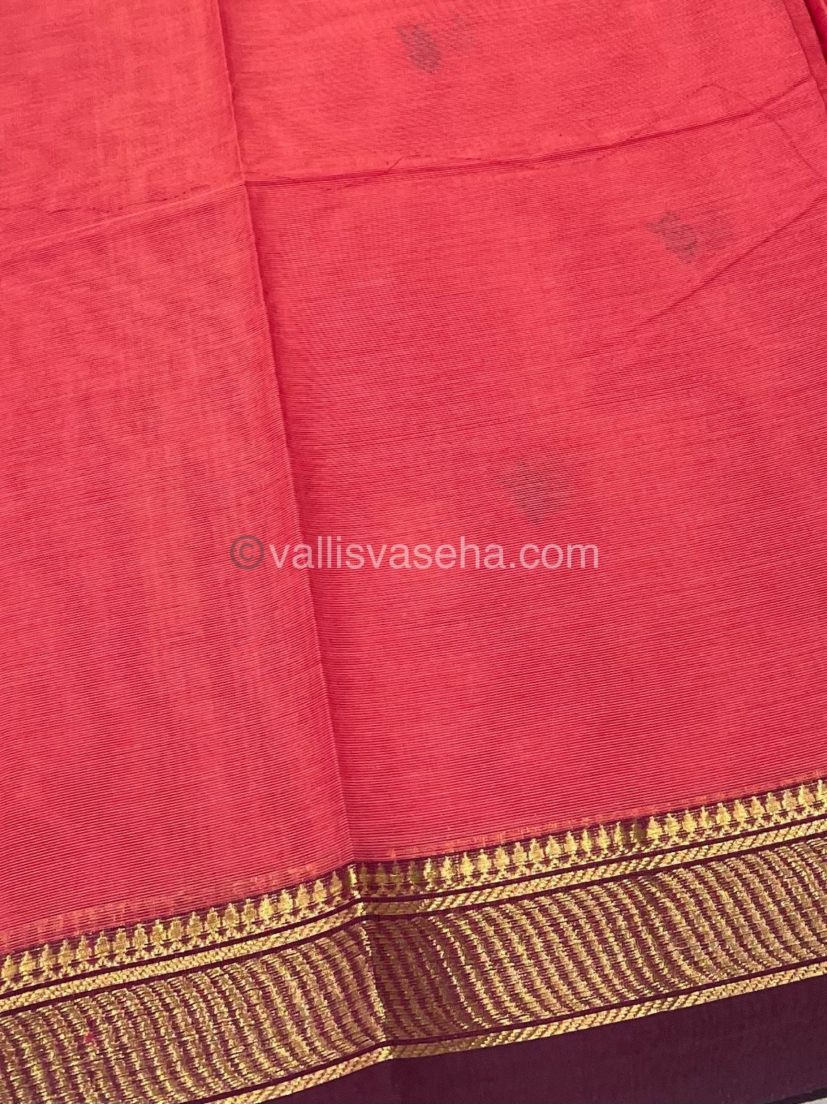Kanchi Cotton Saree - Butta Design VVKCS008
