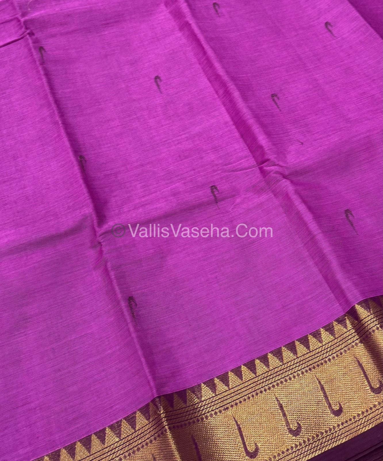 Kanchi Cotton Saree - VVKCS017