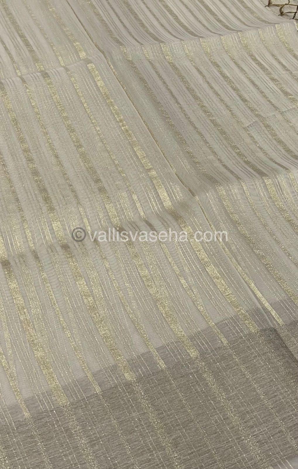 Organza Saree - Light Creamish Chikko - VVOS001