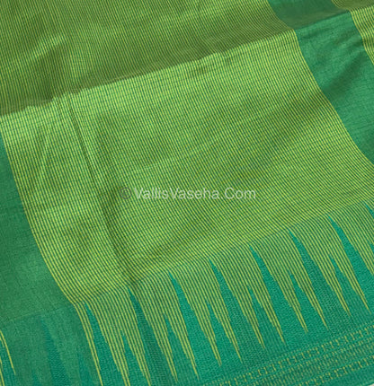 Semi Raw Silk - Green With Green Shade - VVRS007