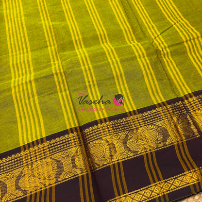 Kanchi Cotton Saree - VVKCS019