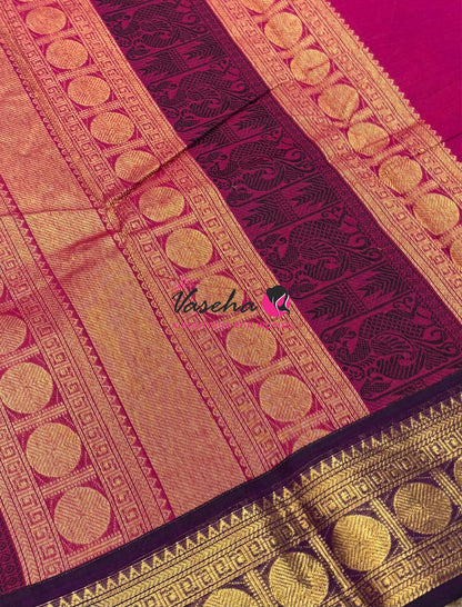 Kanchi Cotton Saree - VVKCS023