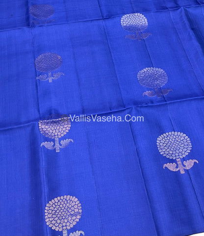 Pure Soft Silk Saree - Light weight - Border Less - VVPSS034