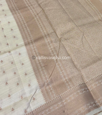 Semi Tussar Silk - Grand Pallu  - Cream - VVSTS023