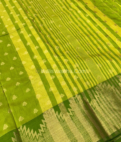 Semi Tussar Silk  - VVSTS026