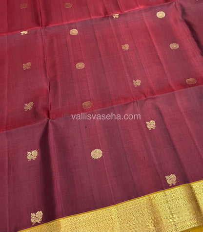 Pure Soft Silk Saree - Kanchi Border - VVPSS032