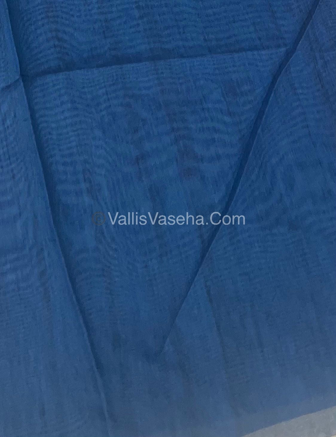 Semi Tussar Saree  - VVSTS009