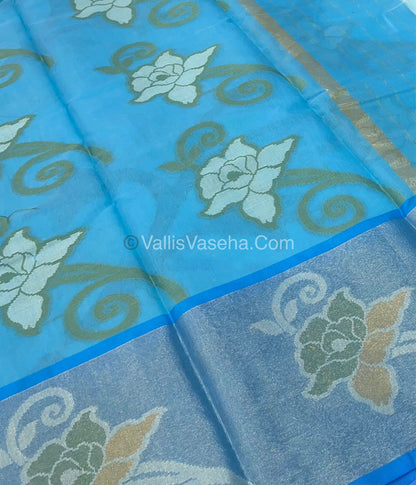 Banarasi Pochampally Weaving Semi Soft Cotton Saree - Light Blue with Blue - VVBPS001