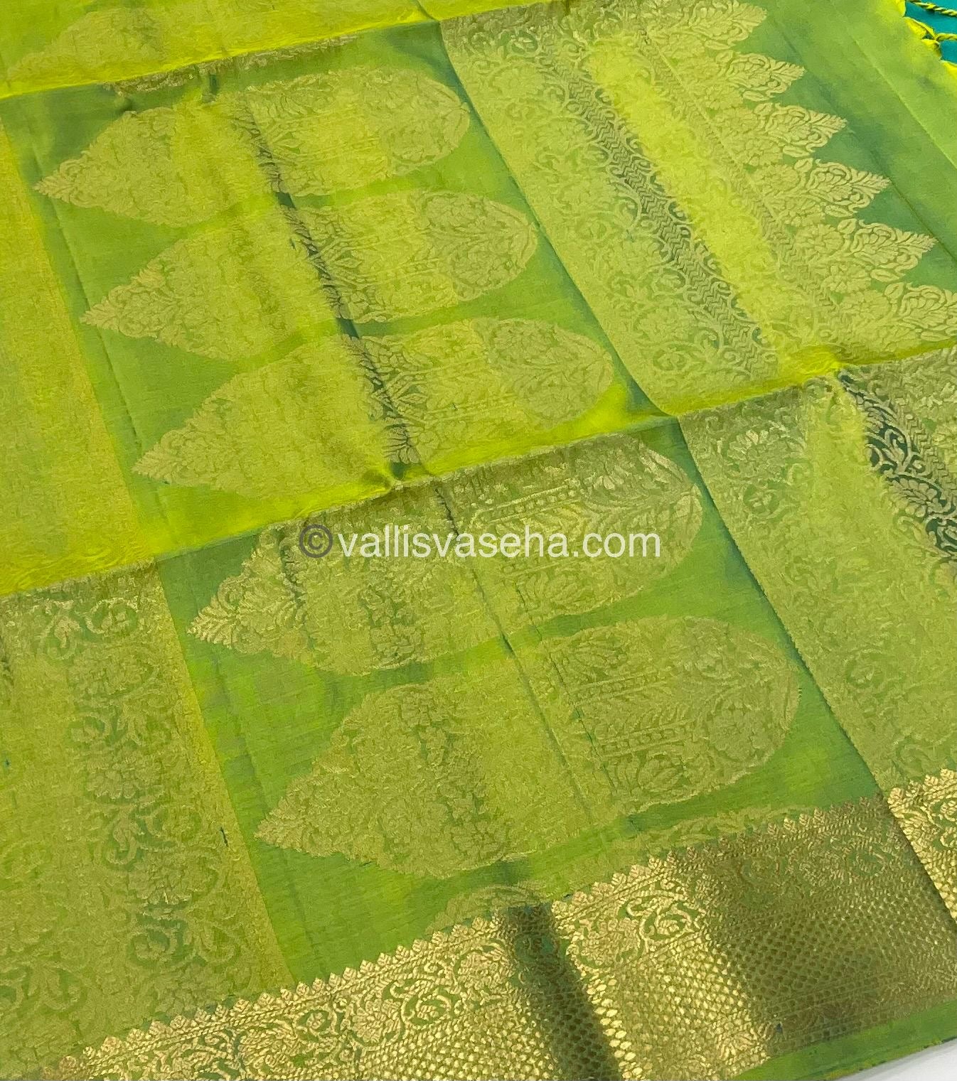 Pure Soft Silk Saree - Kanchi Border - VVPSS015