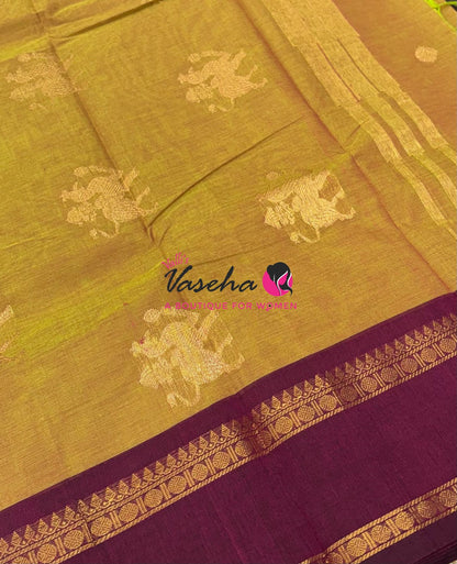 Kanchi Cotton Saree - VVKCS024