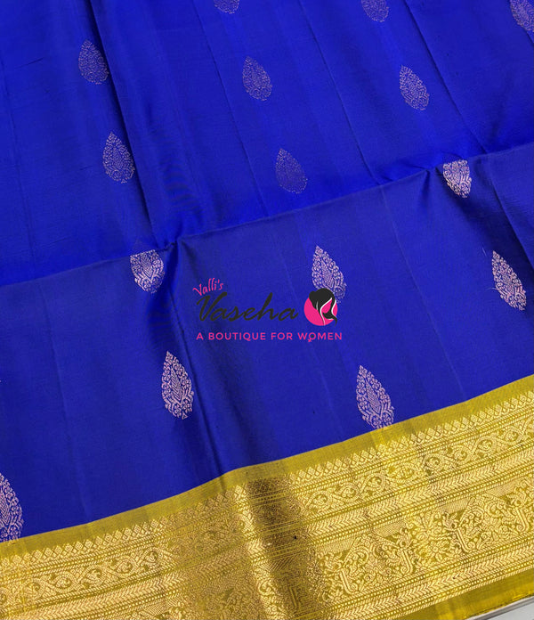Pure Soft Silk Saree - Kanchi Border - VVPSS033