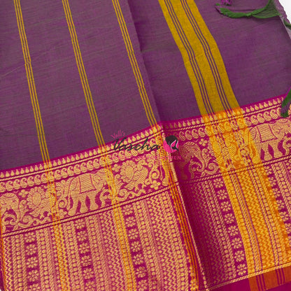 Kanchi Cotton Saree - VVKCS019