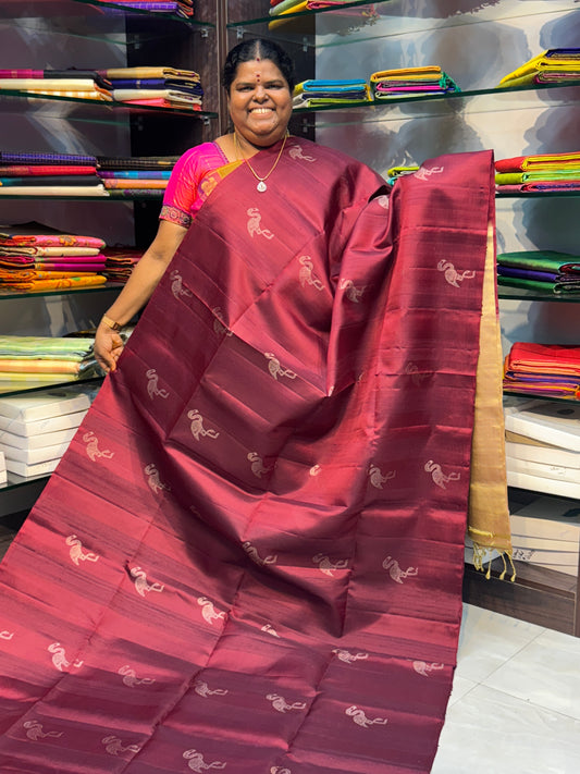 Pure Soft Silk Saree - Border Less - Dupion Soft Silk - VVPSS029
