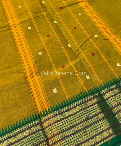 Kanchi Cotton Saree - VVKCS017