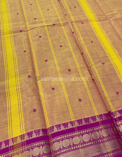 Kanchi Cotton Saree - Butta Design VVKCS008