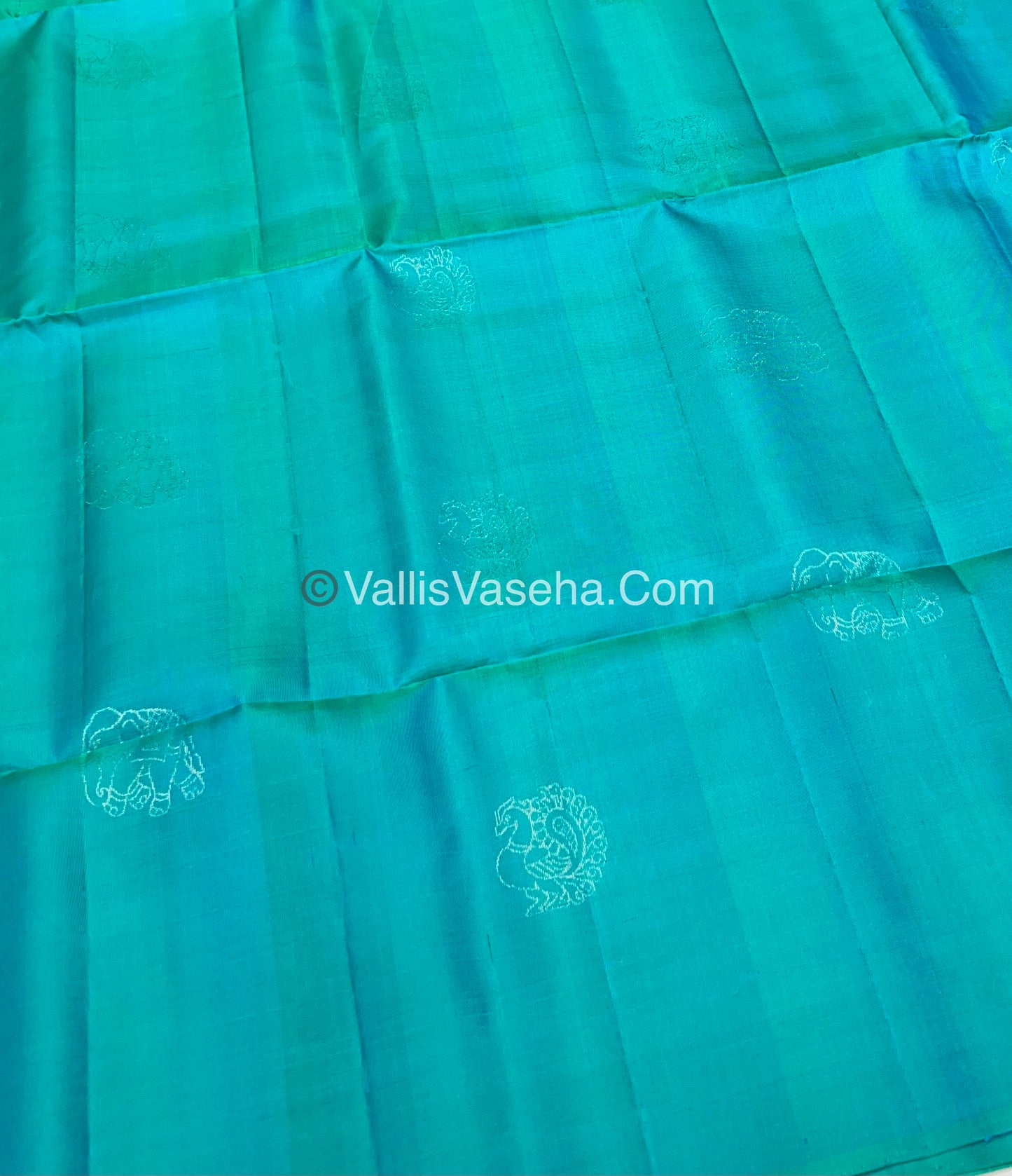 Pure Soft Silk Saree | Borderless |  VVPSS038