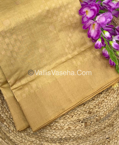 Semi Tussar Silk - Grand Pallu  - Cream Shade - VVSTS025