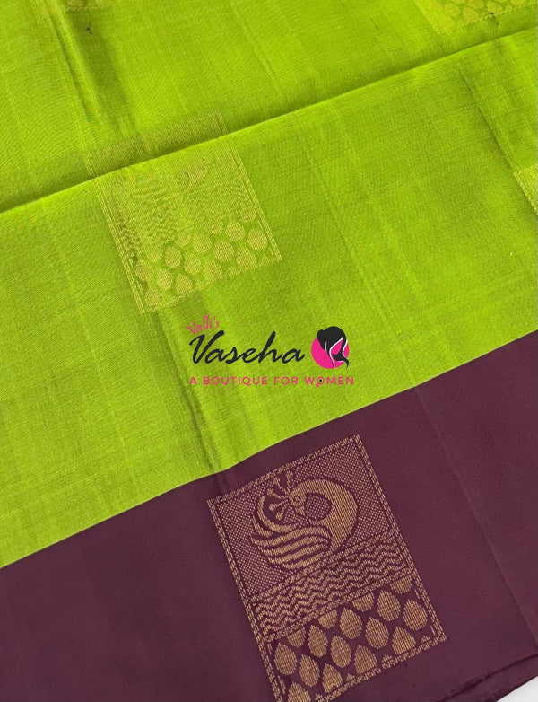 Pure Soft Silk Saree - Green & Brown - VVPSS091