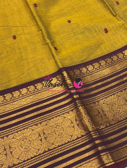 Kanchi Cotton Saree - Butta Design - VVKCS034