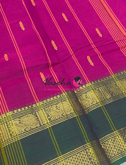 Kanchi Cotton Saree - Butta Design - VVKCS034